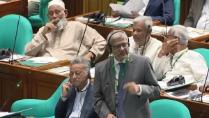 mirja-fakrul-parliement-1782718222