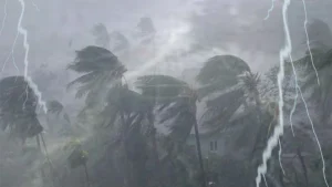 image-310487-1784003837