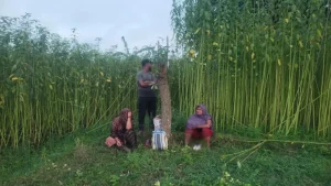 news_1786257218293