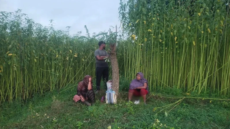 news_1786257218293
