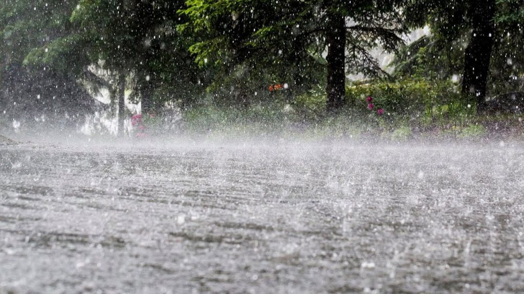 rain-20240823134037