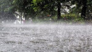rain-20240823134037